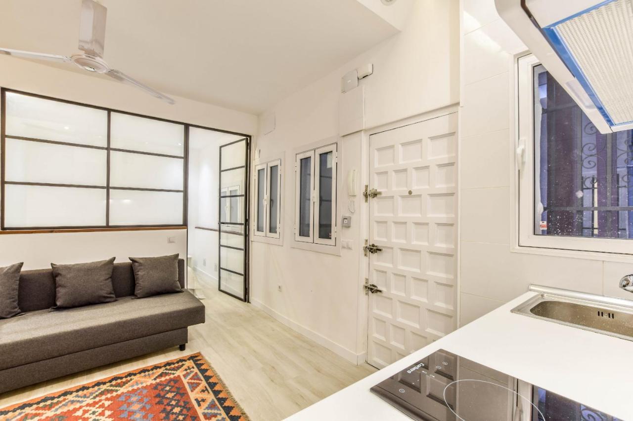 Apartamento Reformado En Lavapies Apartment Madrid Luaran gambar